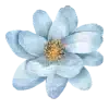 blue-flower-1.webp
