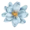blue-flower-2-1.webp
